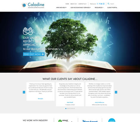 Caladine Ltd