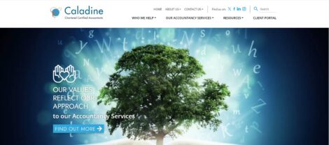 Caladine Accountants